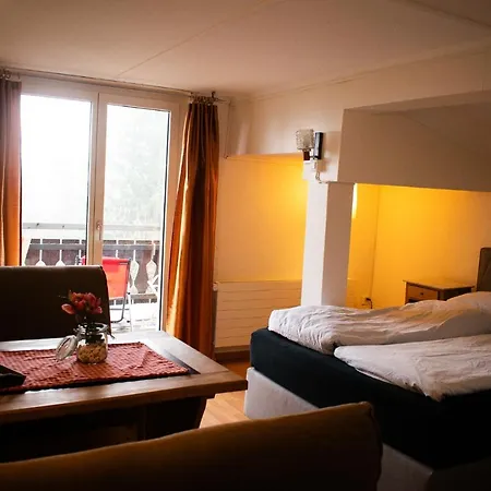 Hotel Malixerhof 2*