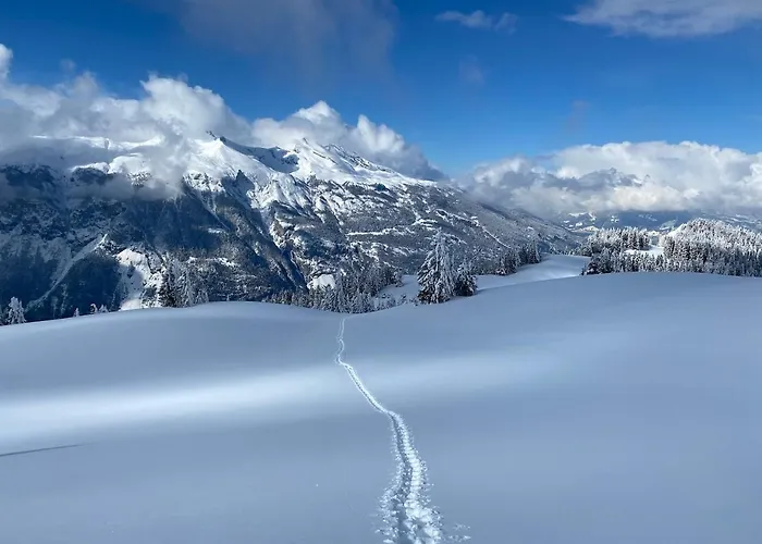 Malixerhof Hotel Malix